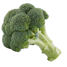 Broccoli